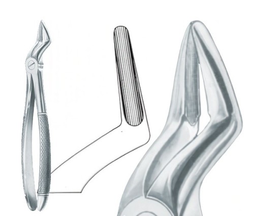 Щипцы №51 для удаления корней верхней челюсти (байонет) TW1-37, Truewin / Пакистан